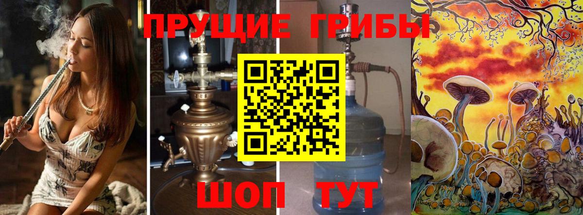 Галлюциногенные грибы прущие грибы  Вход с VPN  Кизляр 